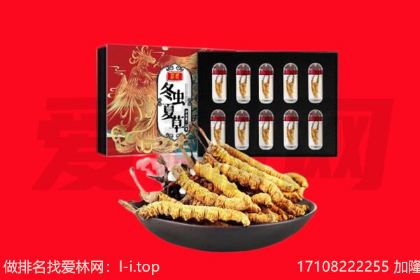 蚌埠回收虫草.jpg